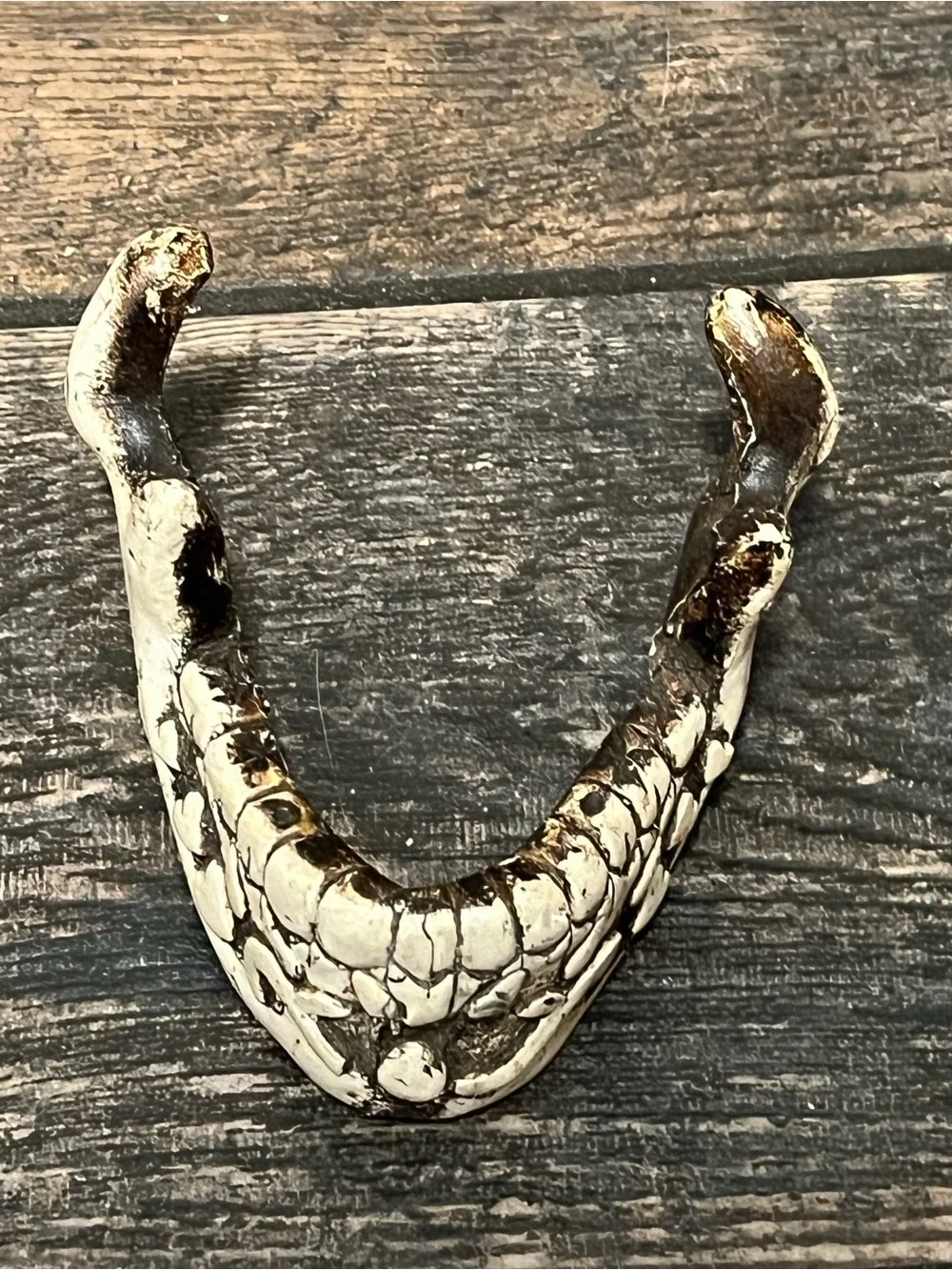 Ceramic jaw decor.